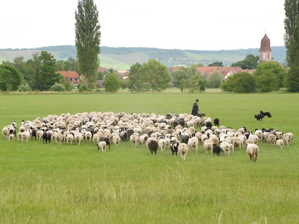 Ferienwohnungen Schuh Ipsheim Exterior foto